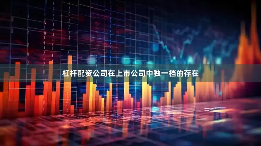 杠杆配资公司在上市公司中独一档的存在